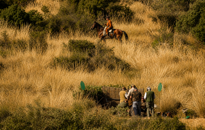 Shooting season
